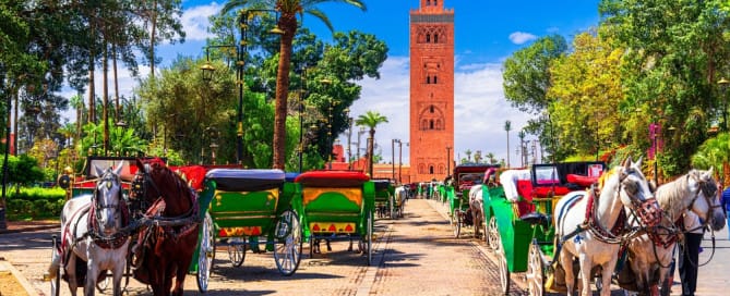 Voyage en été au Maroc avec une vue sur des chameaux